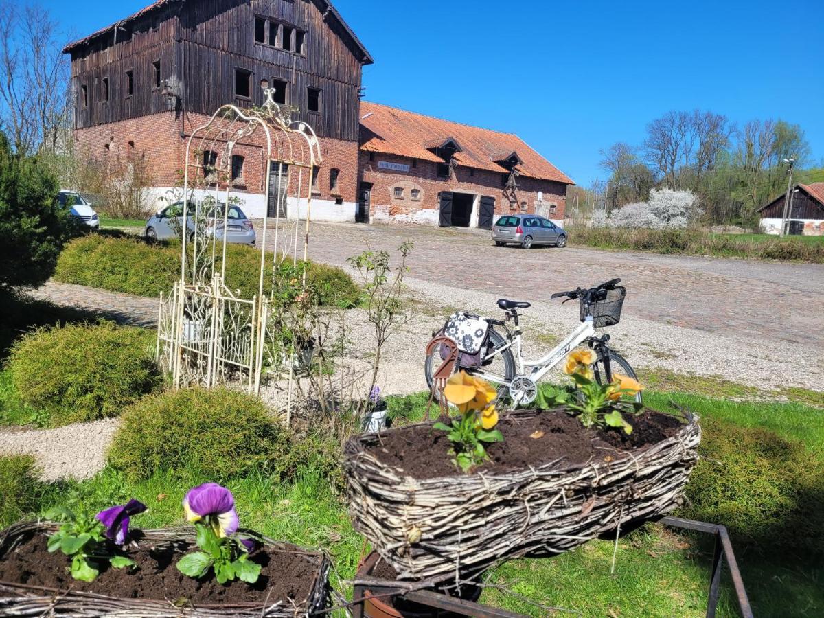 Agroturystyka "Palac W Janowie" エクステリア 写真